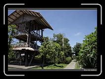 IMG_9126 * 850 x 608 * (245KB)