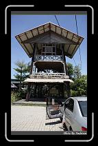 IMG_9128 * 566 x 910 * (242KB)