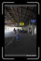 IMG_9223 * 566 x 910 * (234KB)