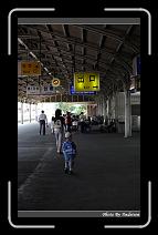 IMG_9224 * 566 x 910 * (245KB)