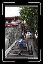 IMG_9247 * 566 x 910 * (247KB)
