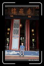 IMG_9289 * 566 x 910 * (239KB)