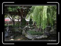 IMG_9298 * 850 x 608 * (243KB)