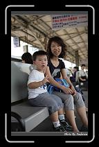 IMG_9333 * 566 x 910 * (239KB)
