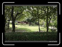 IMG_9395 * 850 x 608 * (244KB)