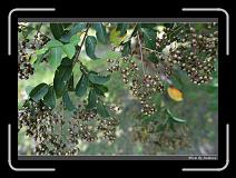 IMG_9402 * 850 x 608 * (237KB)