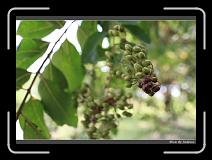 IMG_9403 * 850 x 608 * (223KB)