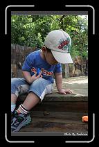 IMG_9424 * 566 x 910 * (235KB)