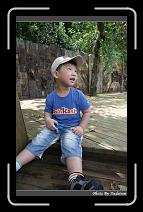 IMG_9425 * 566 x 910 * (247KB)