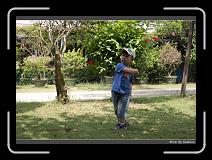 IMG_9445 * 850 x 608 * (244KB)