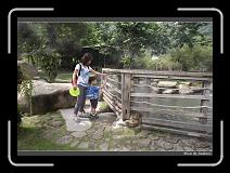 IMG_9466 * 850 x 608 * (239KB)