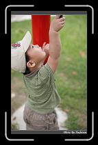 IMG_9565 * 566 x 910 * (207KB)