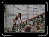 IMG_9628 * 850 x 608 * (239KB)