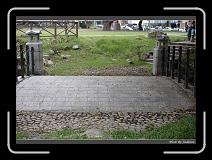 IMG_9637 * 850 x 608 * (241KB)
