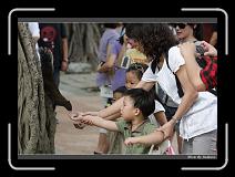 IMG_9730 * 850 x 608 * (230KB)