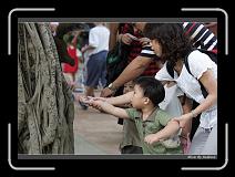IMG_9733 * 850 x 608 * (230KB)