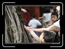 IMG_9746 * 850 x 608 * (242KB)