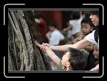 IMG_9747 * 850 x 608 * (247KB)