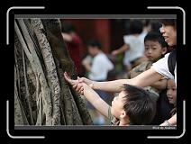IMG_9748 * 850 x 608 * (245KB)