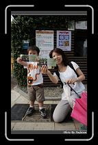 IMG_9794 * 566 x 910 * (249KB)