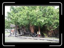 IMG_9799 * 850 x 608 * (248KB)