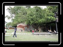 IMG_9802 * 850 x 608 * (247KB)