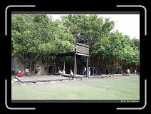IMG_9804 * 850 x 608 * (248KB)