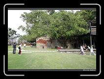 IMG_9806 * 850 x 608 * (250KB)