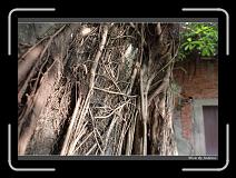 IMG_9814 * 850 x 608 * (246KB)