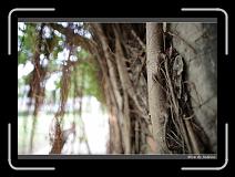 IMG_9817 * 850 x 608 * (226KB)