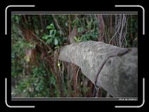 IMG_9838 * 850 x 608 * (237KB)