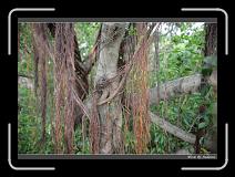 IMG_9840 * 850 x 608 * (240KB)
