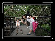 IMG_9844 * 850 x 608 * (243KB)