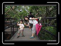 IMG_9845 * 850 x 608 * (241KB)