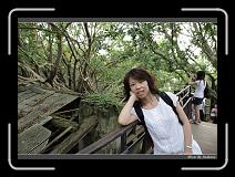 IMG_9854 * 850 x 608 * (249KB)