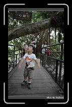IMG_9860 * 566 x 910 * (240KB)