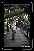 IMG_9862 * 566 x 910 * (241KB)