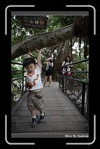 IMG_9863 * 566 x 910 * (241KB)