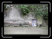 IMG_9864 * 850 x 608 * (245KB)