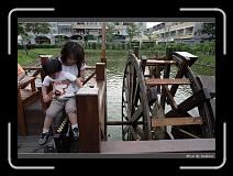 IMG_9866 * 850 x 608 * (249KB)