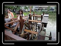 IMG_9869 * 850 x 608 * (239KB)