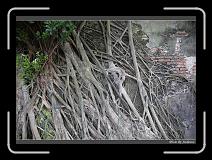 IMG_9874 * 850 x 608 * (249KB)