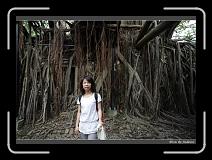 IMG_9876 * 850 x 608 * (243KB)