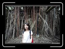 IMG_9877 * 850 x 608 * (243KB)