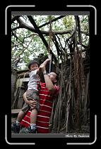 IMG_9884 * 566 x 910 * (247KB)