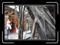 IMG_9899 * 850 x 608 * (224KB)