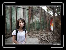 IMG_9904 * 850 x 608 * (246KB)