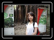 IMG_9906 * 850 x 608 * (226KB)