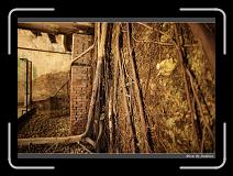 IMG_9939 * 850 x 608 * (239KB)