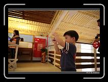 IMG_0005 * 850 x 608 * (247KB)